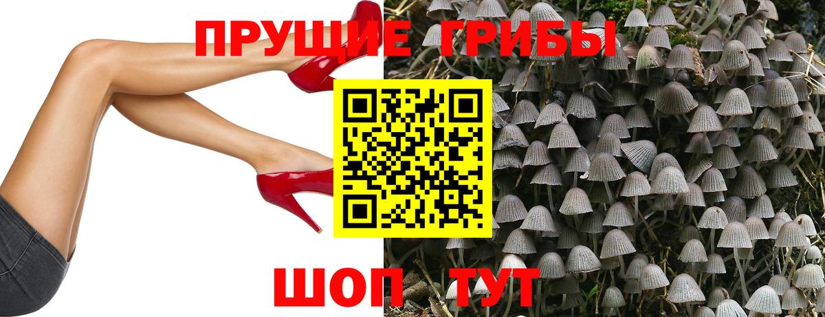 Электросталь  Псилоцибиновые грибы Cubensis  Псилоцибиновые грибы мухоморы  Вход с VPN 